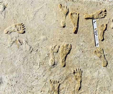 When Did People First Reach The Americas Footprints Analyzed In New