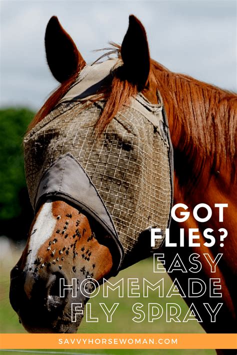 Homemade Horse Fly Spray Artofit