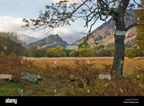 Castle Crag, Borrowdale, Cumbria Stock Photo - Alamy