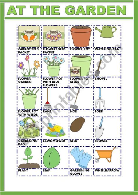 Gardening Worksheet For Kindergarten