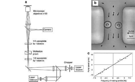 A Schematic Of The Optical Tweezers Setup Based On An Inverted Optical