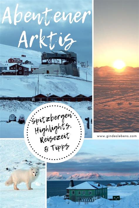 Spitzbergen Arktis Reiseberichte Highlights Und Tipps Spitzbergen