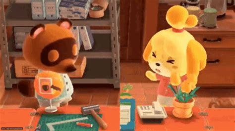 Animal Crossing Tom Nook GIF - AnimalCrossing TomNook Isabelle - Discover & Share GIFs