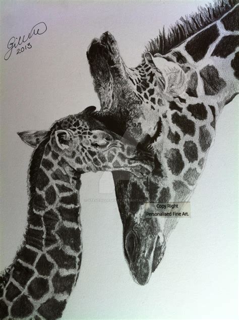 Realistic Giraffe Drawing Giraffe Drawing Giraffe Pencil Drawing By