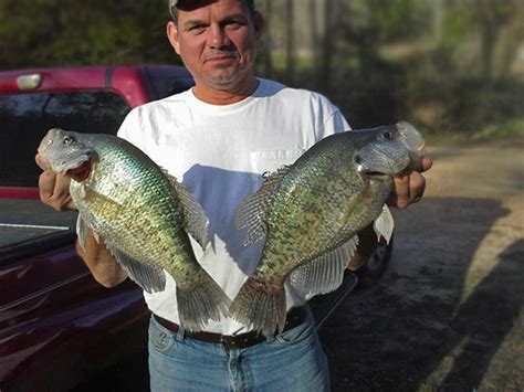 Blog Simply Crappie Fishing News