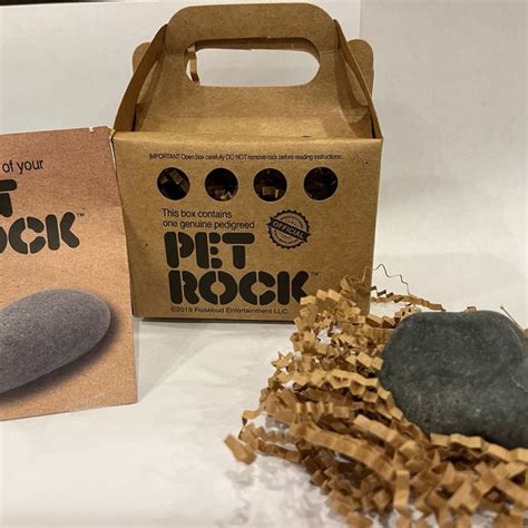 Pet Rock - Etsy