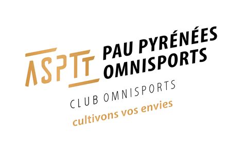 Pr Sentation Du Club Asptt Pau Badminton