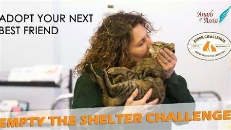 Angels of Assisi Reaches 10,000th Animal Adoption