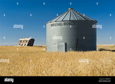 Old Grain Bin In Wheat Field Hi Res Stock Photography And Images Alamy