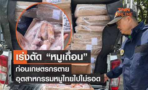 เร่งตัด “หมูเถื่อน” ก่อนเกษตรกรตาย อุตสาหกรรมหมูไทยไปไม่รอด