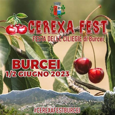 Sagra Delle Ciliegie Di Burcei Programma E Giugno