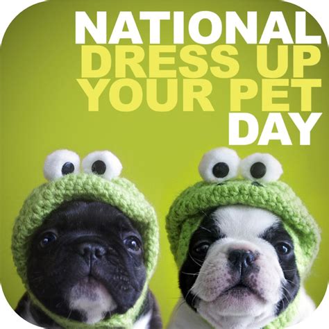 National Dress Up Your Pet Day 2024 Dayle Marcie