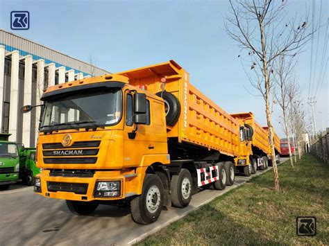 Sino Truck X Tons Wheelers Euro Shacman Dump Tipper Trucks