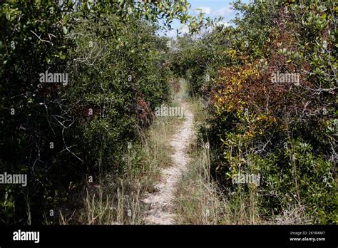 Scenes From Aransas National Wildlife Refuge Stock Photo Alamy