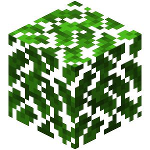 Leaves | Minecraft Wiki | Fandom