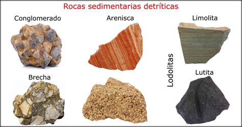 Rocas Sedimentarias 🥇 Tipos Clasificación Y Ejemplos