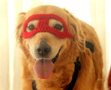 Super Hero Dog Costume Super Hero Mask for Dogs Super Hero - Etsy