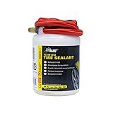 Best Tyre Sealants There S One Clear Winner Bestreviews Guide