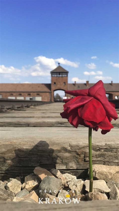 auschwitz museum – Practical Krakow