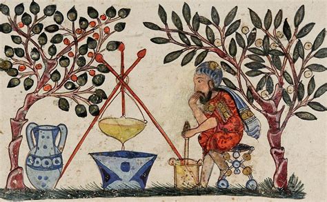 Herbal Medicine in the Middle Ages – Medieval History