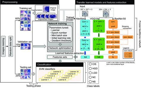 Joint CNN SVM Framework And The Classification Pipeline CNN