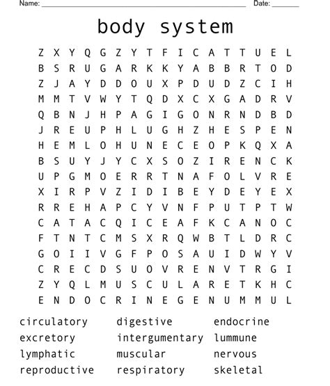 Body System Word Search Wordmint