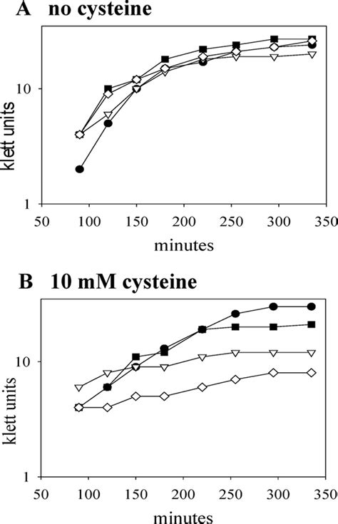 Anaerobic Growth Of E Coli Strains With And Without Cysteine