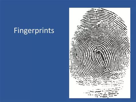 Ppt Fingerprints Powerpoint Presentation Free Download Id2416848