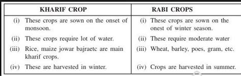 Q Distinguish Between The Rabi And Kharif Crops