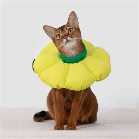 Hidream Cat Cone Soft Comfortable Alternative To Plastic Vet E Collar