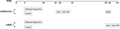 Frontiers Age β Endorphin And Sex Dependent Effects Of Maternal