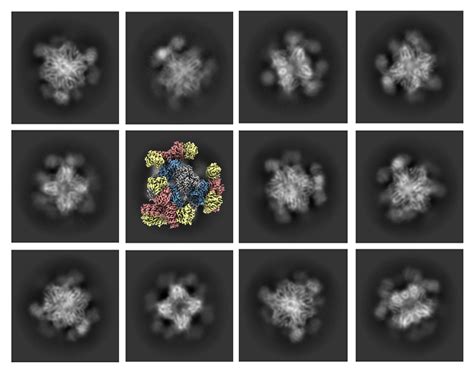 Team Develops Key Improvement To Cryo Electron Microscopy