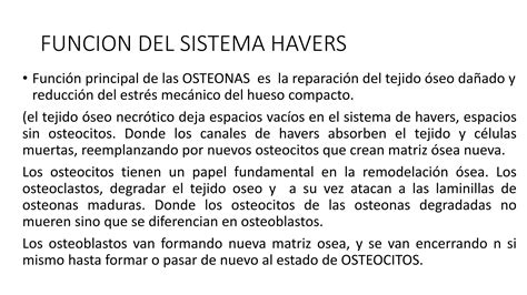 TEJIDOS HISTOLÓGICOS osteona canal de haves pptx