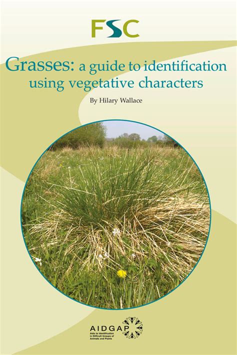 A New Guide For Identifying Grasses Biodiversity Projects