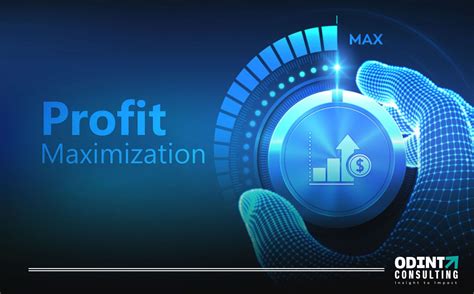 Profit Maximization Strategies Explained Odint Consulting