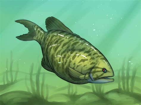 lucky fish  nachash  deviantart