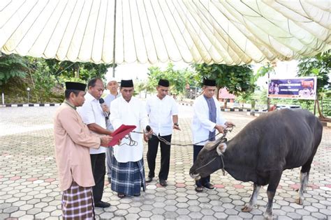 Hari Raya Idul Adha Pangdam Kasuari Serahkan Hewan Kurban Kepada