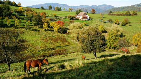 Le Patrimoine Agricole Et Forestier Visit Alsace