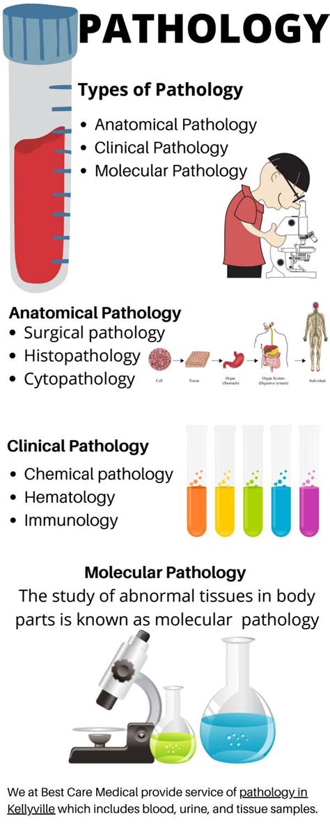 Pathology Collection and It's Types by Best Care Medical - Issuu