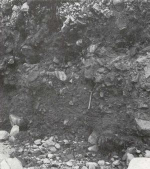 Quaternary Deposits St Kilda An Illustrated Account Of The Geology