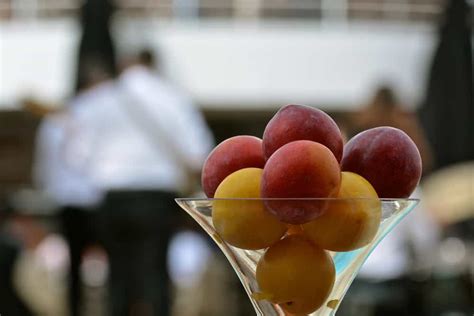 Food And Wine Cruise To Feature 90 Events