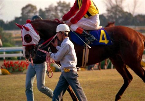 シャダイソフィアとダイナカール （83年牝馬クラシック） Turfdust