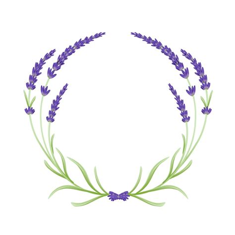 Premium Vector Lavender Flowers Floral Wreath