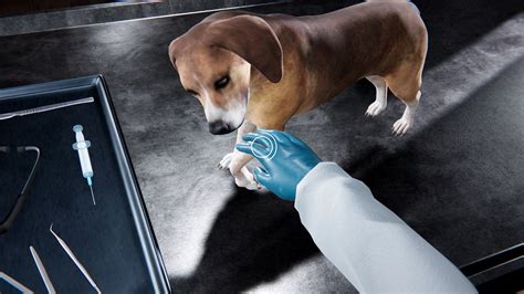 Veterinary Clinic Simulator On Steam