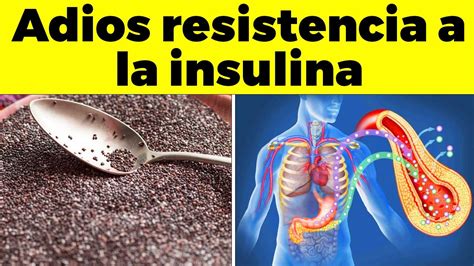 13 Poderosos Alimentos Para Revertir La Resistencia A La Insulina YouTube