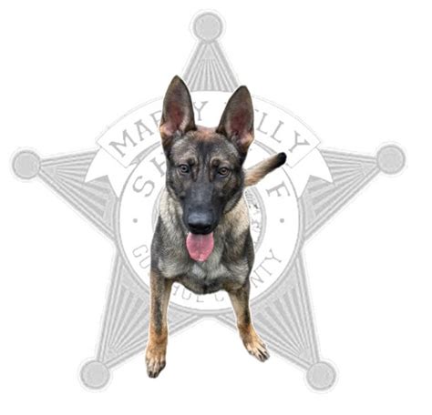 Goodhue County Sheriff’s New K9 Officer Name Search