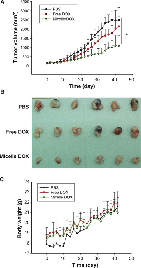 In Vivo Antitumor Efficacy Of Free Dox And Micelle Dox In The Nci H358