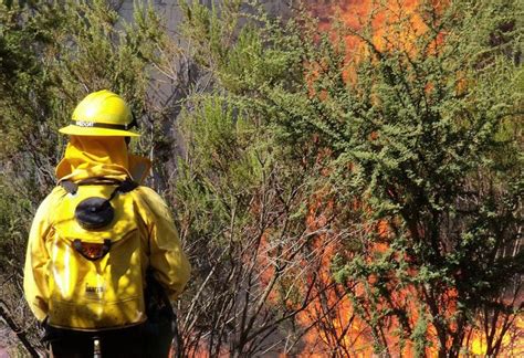 Incendio De Losacio Brigadista Muri Este De Julio