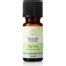 Tea Tree Essential Oil Essentially Australia