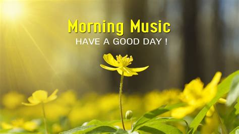 Beautiful Morning Music Positive Energy And Stress Relief🌞happy